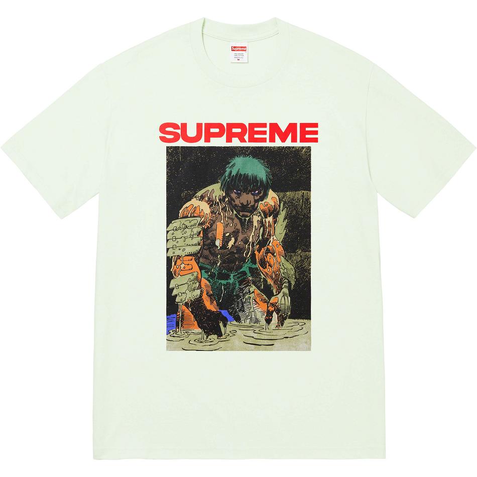 Camiseta Supreme Ronin Tee Verde Menta | CR238KI