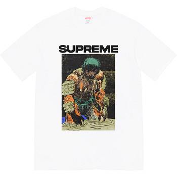 Camiseta Supreme Ronin Tee Blancas | CR237JJ