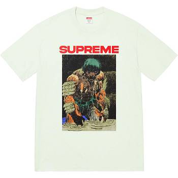 Camiseta Supreme Ronin Tee Verde Menta | CR238KI