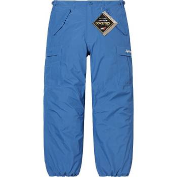 Pantalones Supreme GORE-TEX PACLITE® Cargo Pant Azules | CR411OR