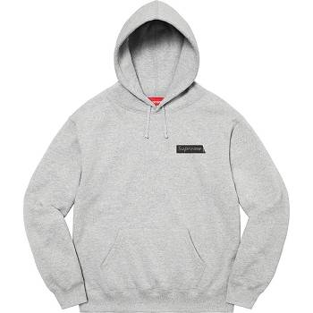 Sudaderas Supreme Fiend Hooded Gris | CR289JJ